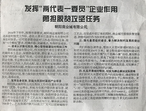 發(fā)揮“兩代表一委員”企業(yè)作用 勇擔脫貧攻堅任務